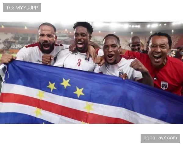 巴西队攻守转换战术惊艳赛场，剑指世界杯冠军