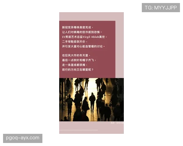 家庭的力量：Vini崛起背后的支持故事与成长历程