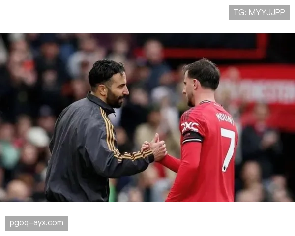 水晶宫主帅执教风格解析：务实防守与快速反击战术特点